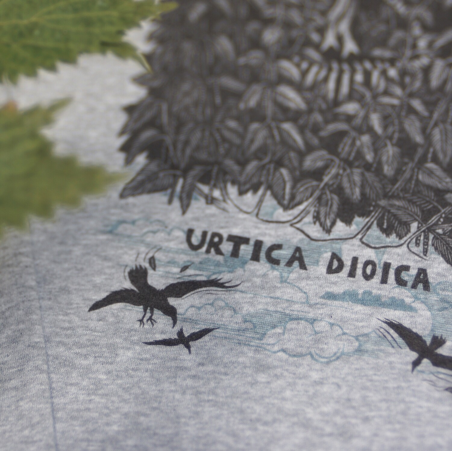 #1 Urtica Dioica / Unisex Sweater #1 Urtica Dioica / Unisex Sweater