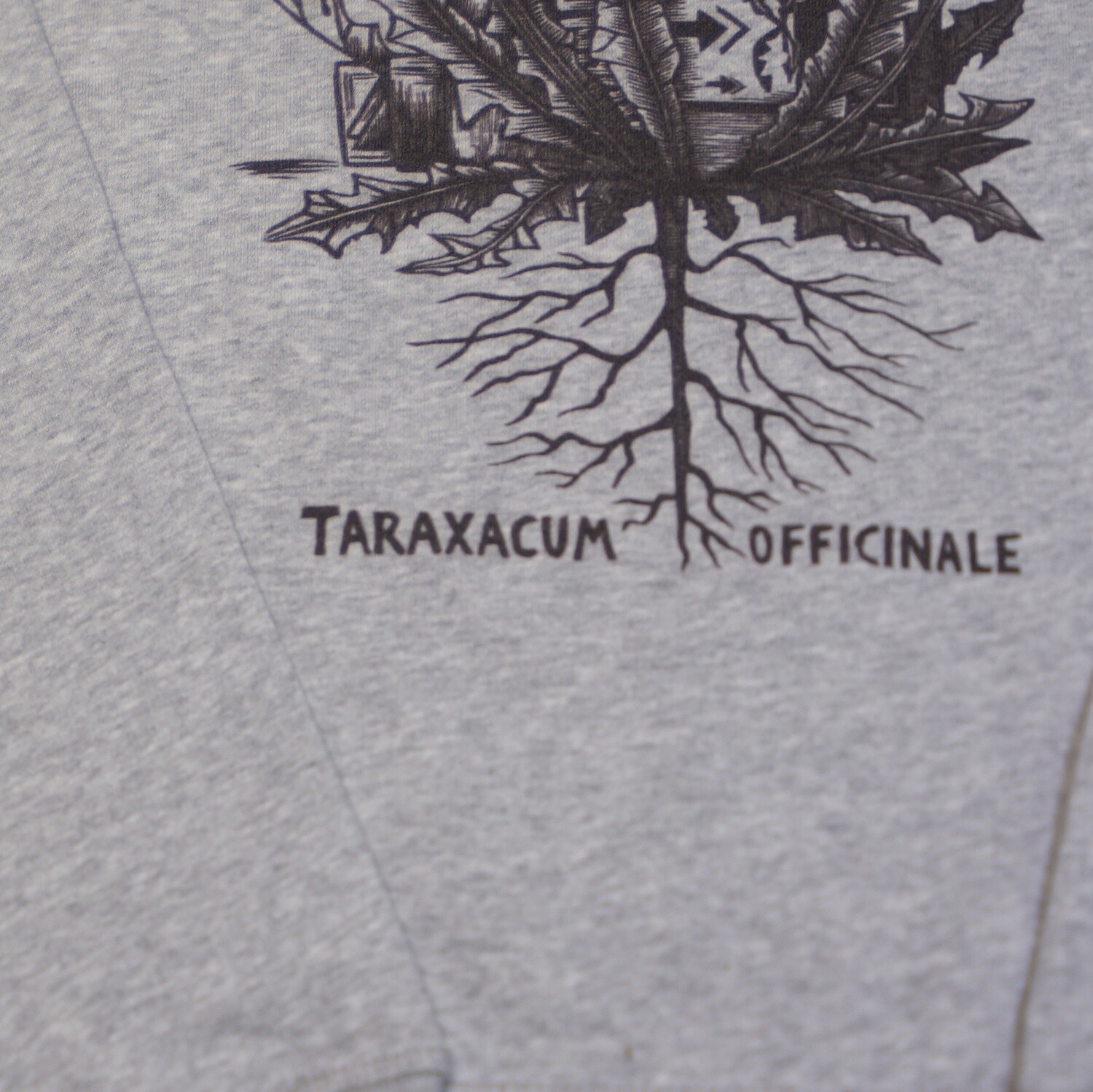 #5 Taraxacum officinale / unisex sweater #5 Taraxacum officinale / unisex sweater
