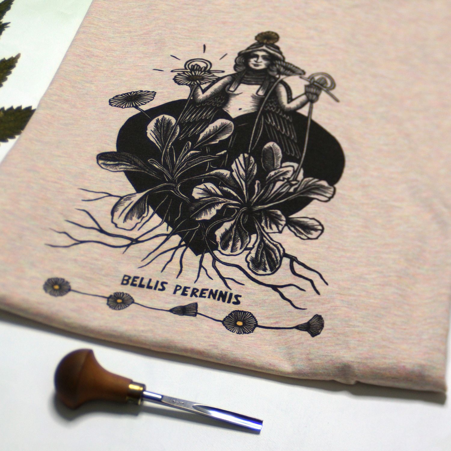 #7 Bellis Perennis/ Cream pink women's T-shirt #7 Bellis Perennis/ Cream pink women's T-shirt