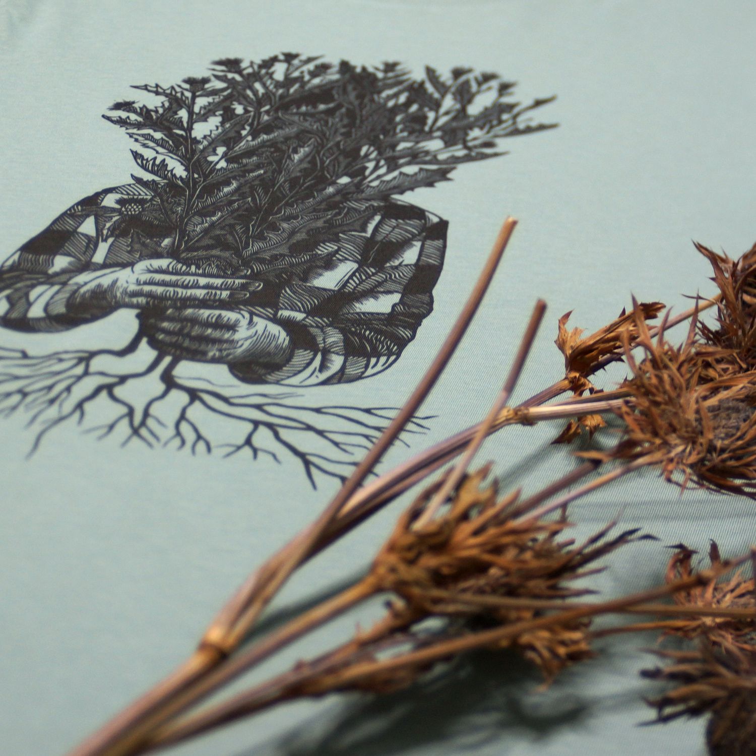 #2 Cirsium arvense / unisex Aloe T-shirt #2 Cirsium arvense / unisex Aloe T-shirt