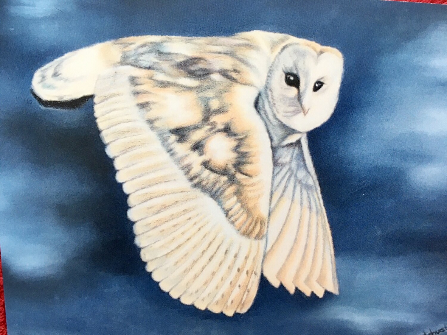 Night Owl Fine Art Prints