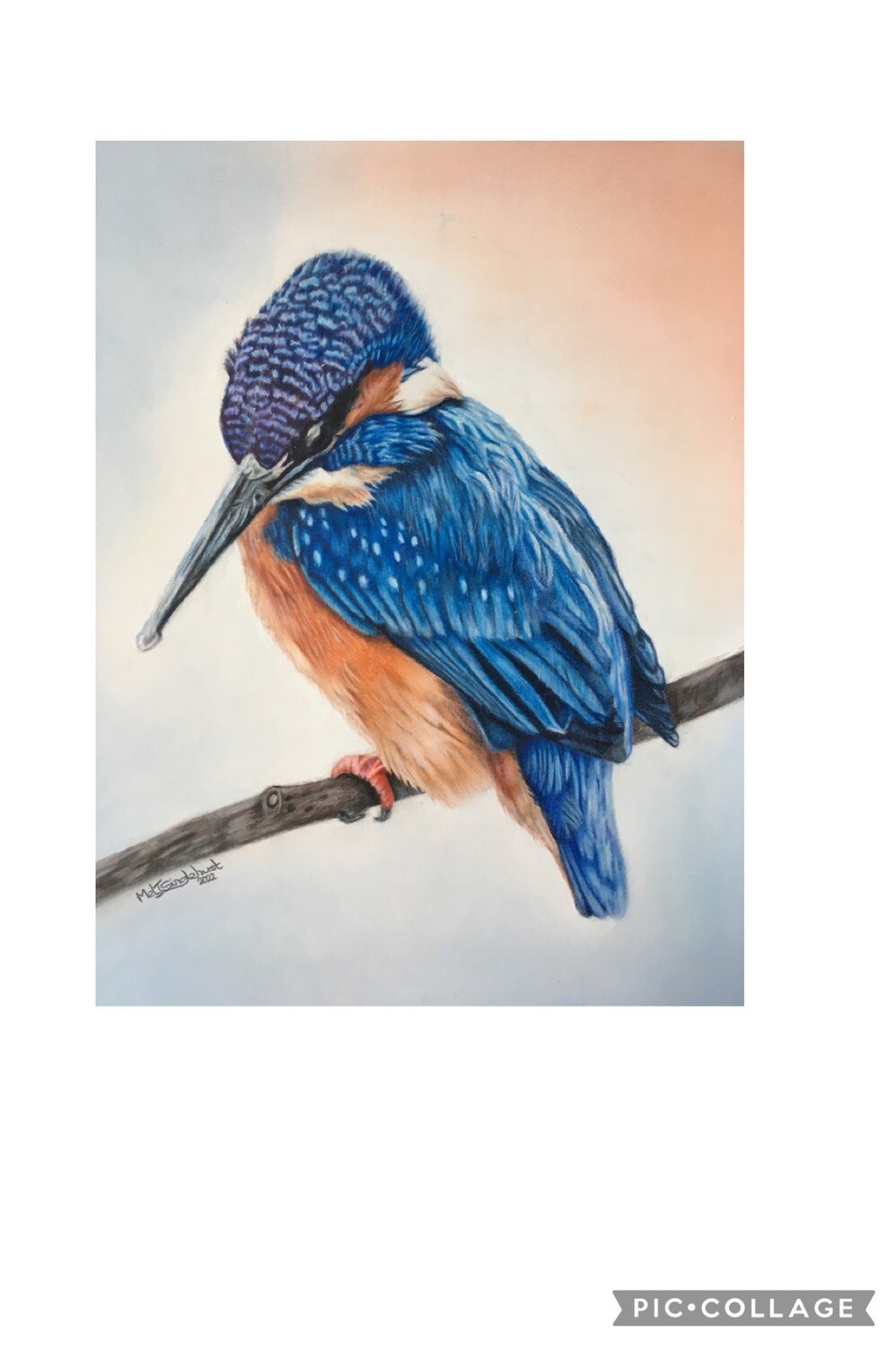 King of Fishers Fine Art Print