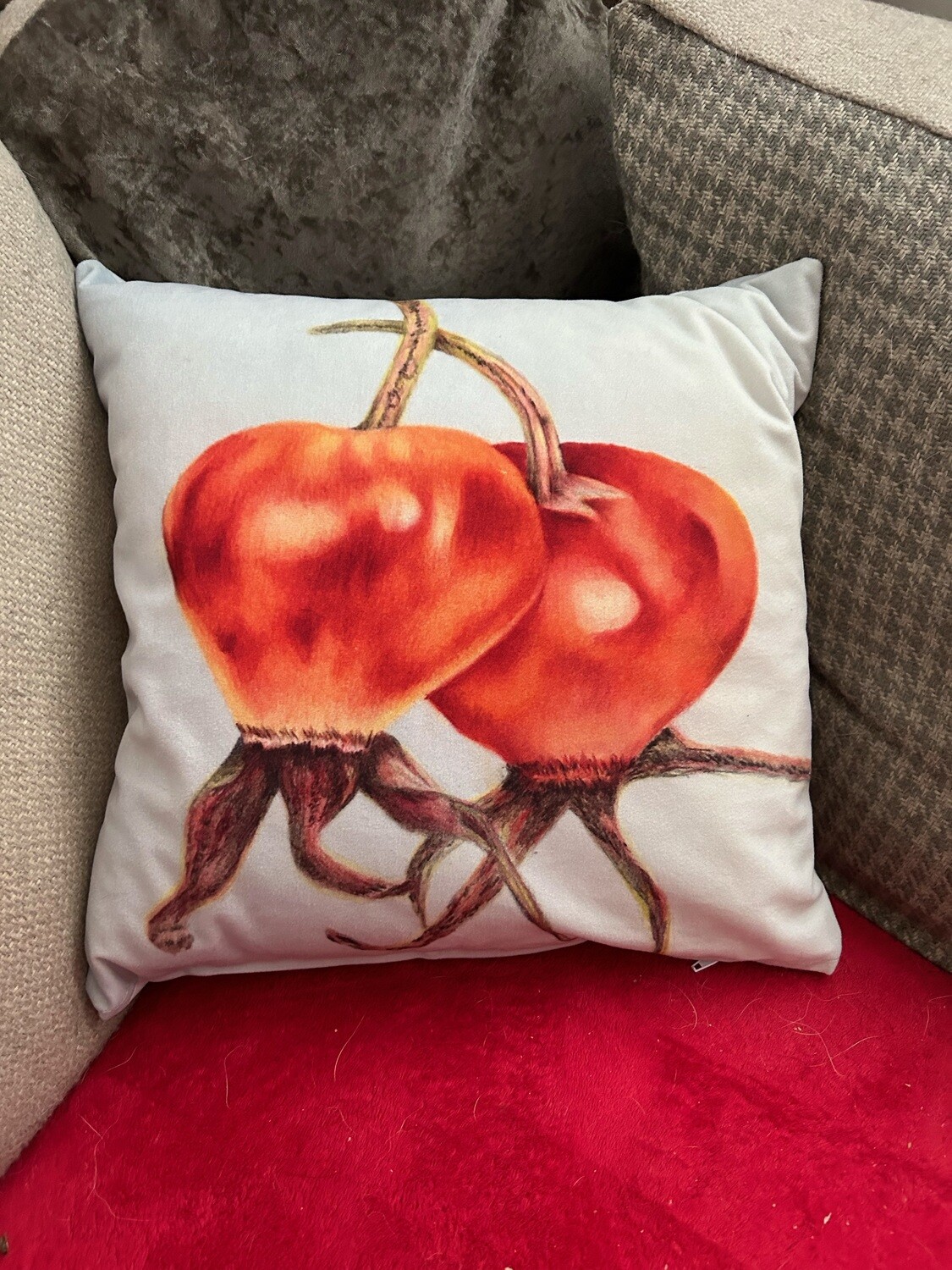 Rose hips Fine Art cushions