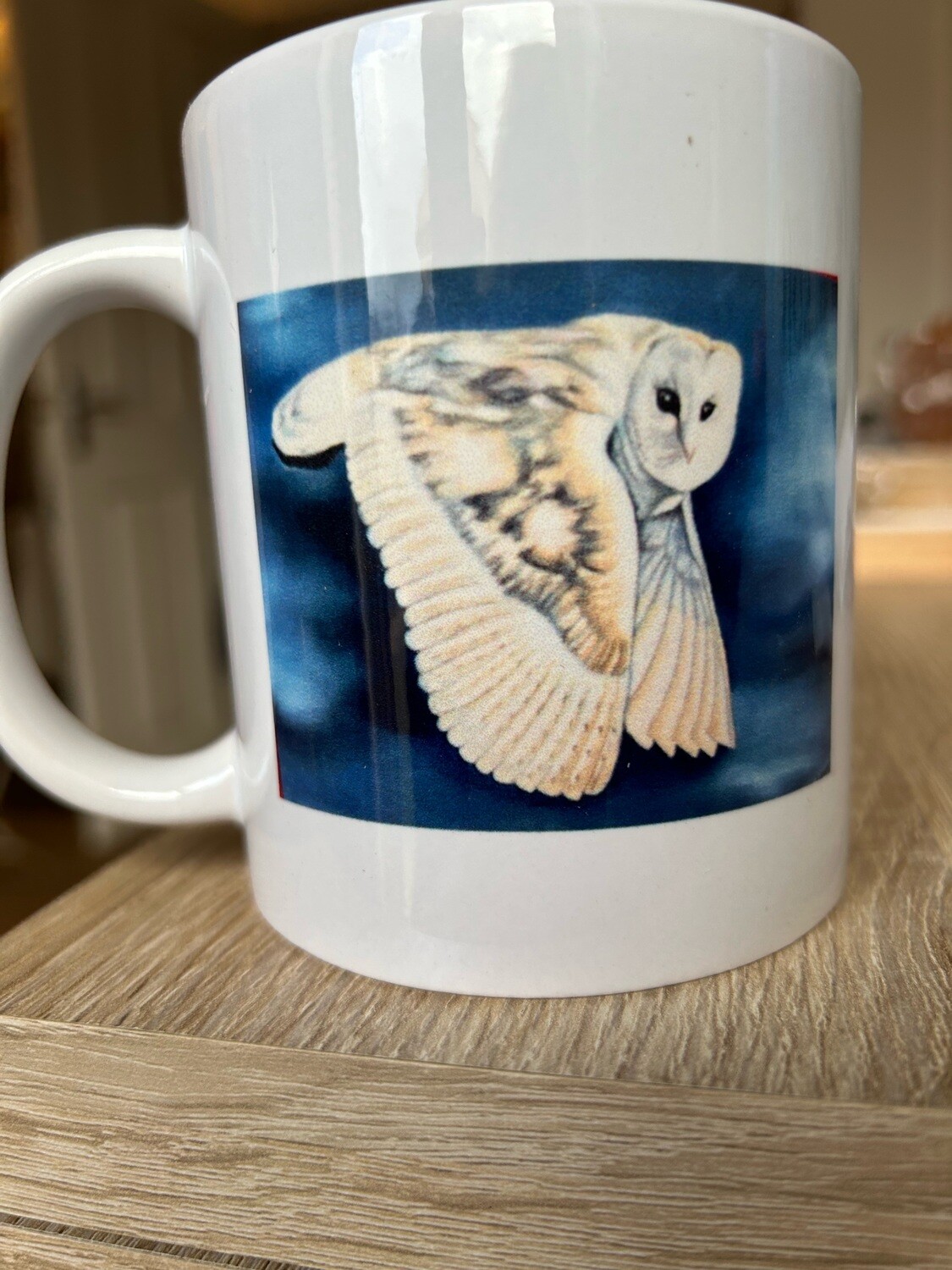 Night Owl Fine Art mugs