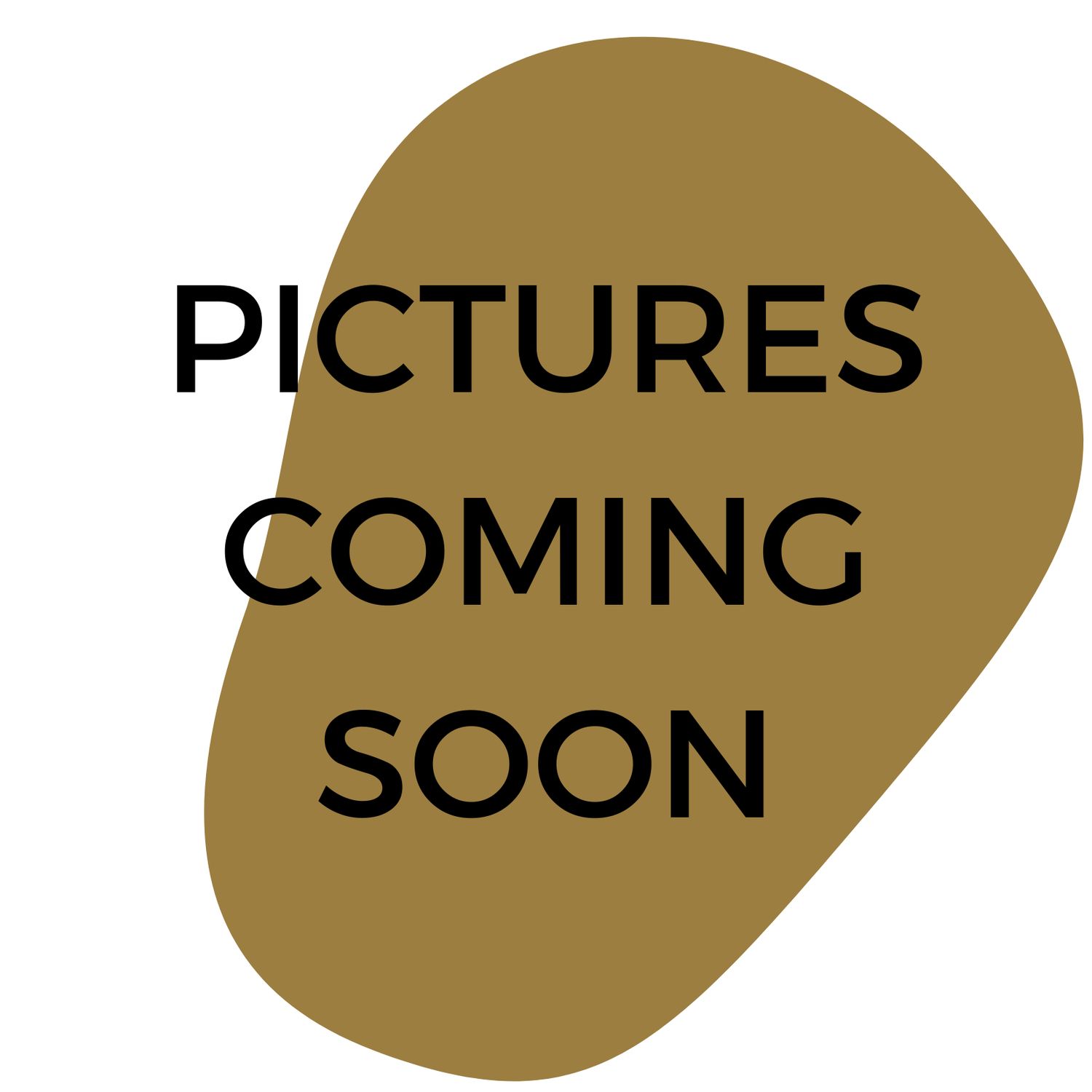 Moscow ID | May 2, 2026