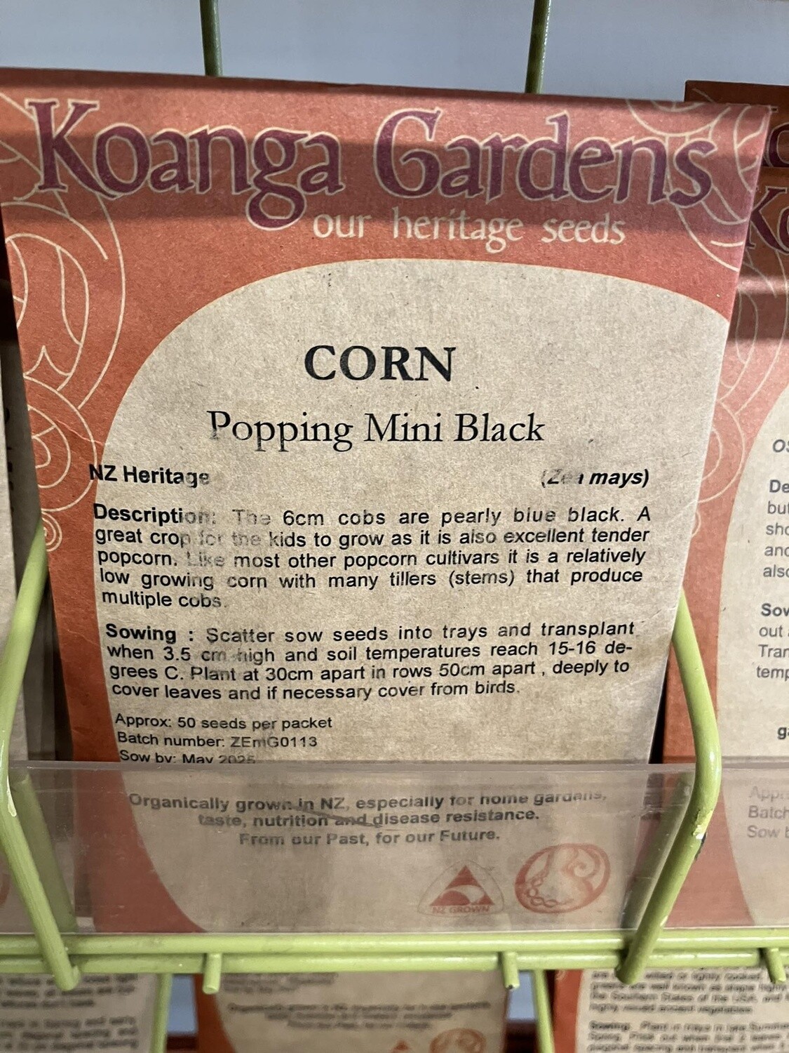 Corn 'Popping Mini Black'