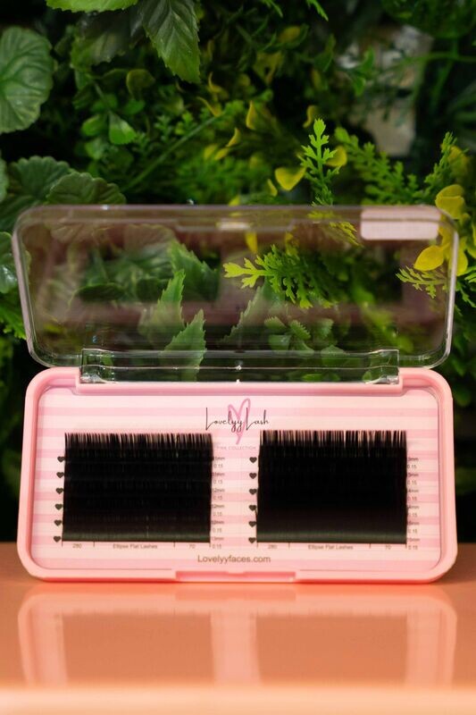 Ellipse Flat Classic Lashes