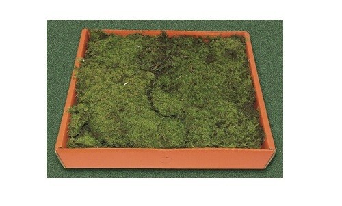 MUSCHIO RASO IN SCATOLA PRESEPE 30x28x6 CM