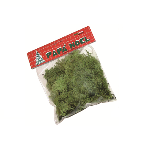 LICHENE VERDE PRESEPE 100 GR