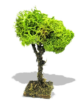 Albero Di Lichene Presepe Dipinto A Mano