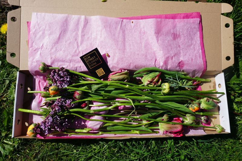 Flowers by Post!