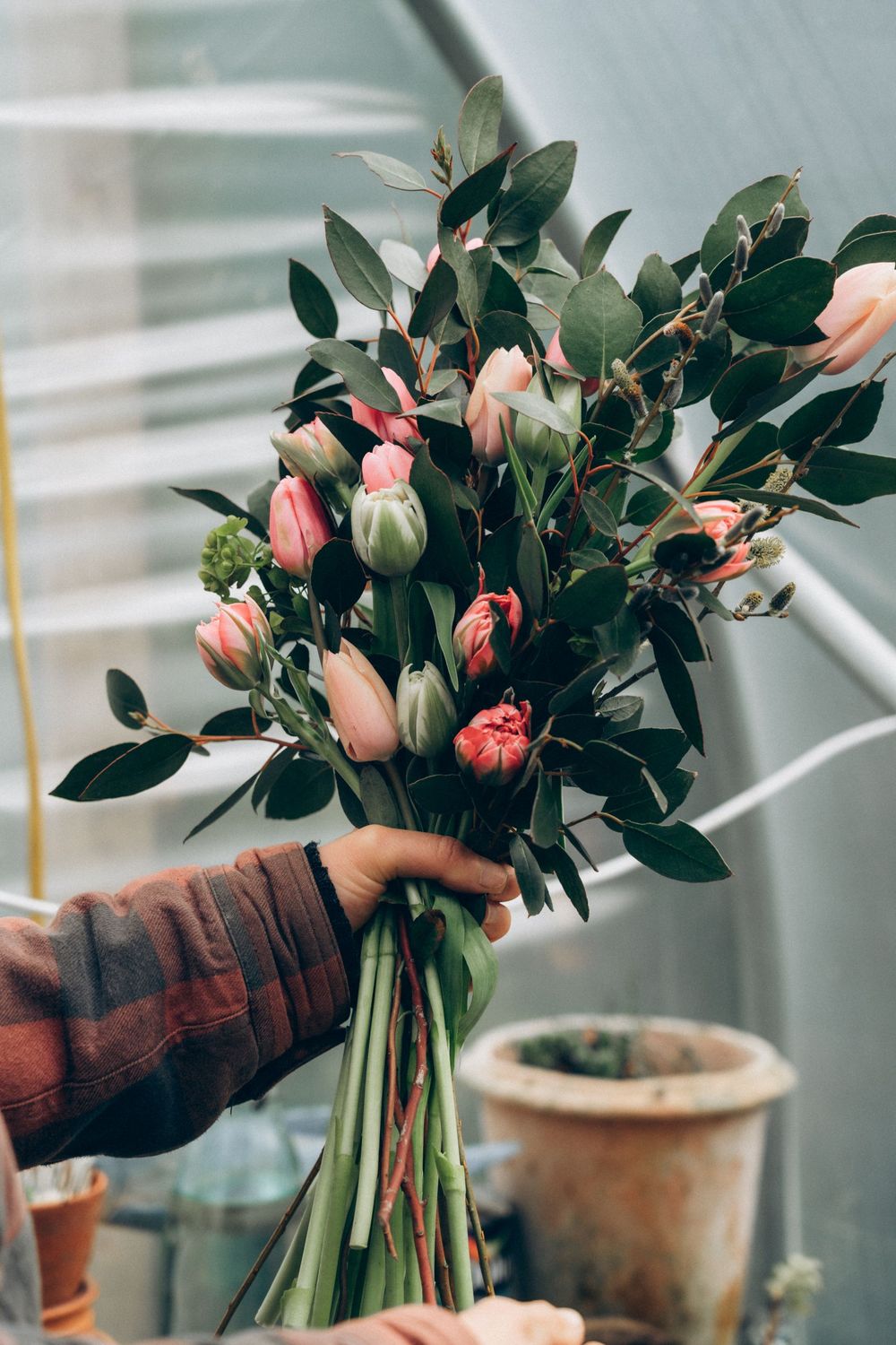 Valentine's Day Twenty Five Mixed Tulips