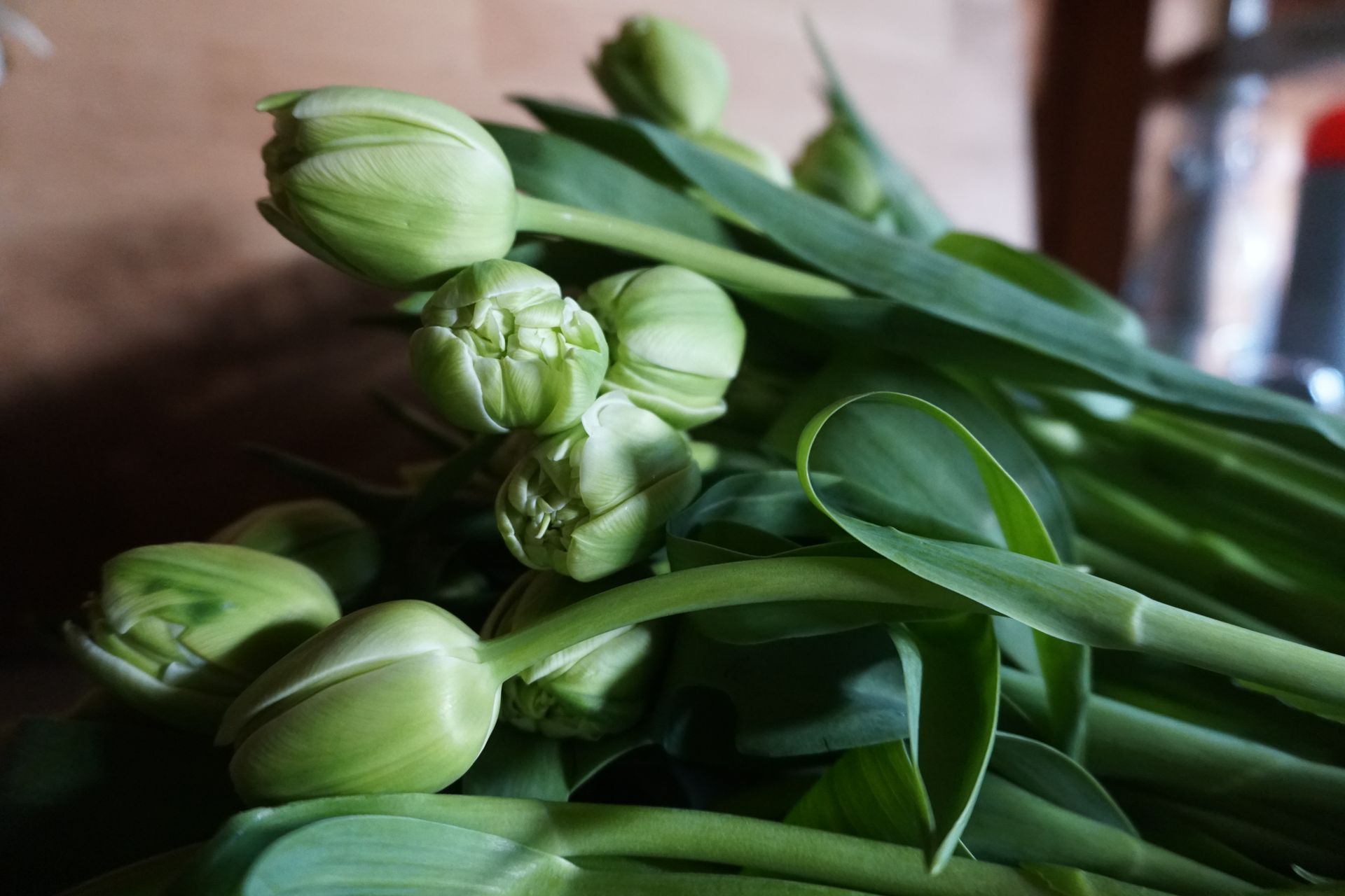 Valentine's Day Twenty Five Mixed Tulips