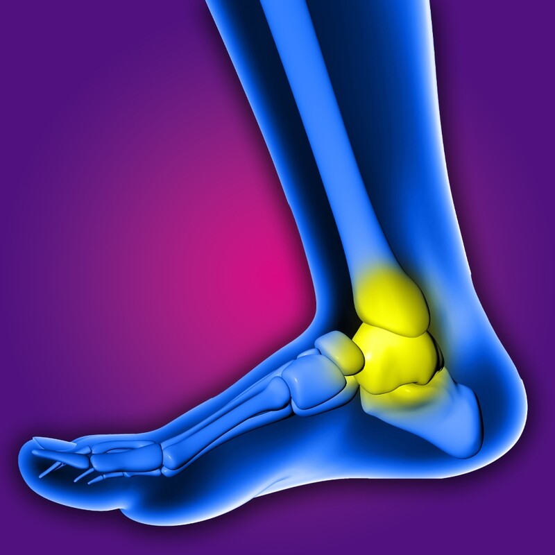 ANKLE