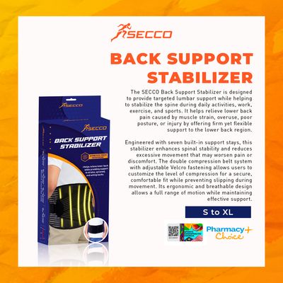 BACK SUPPORT STABILIZER