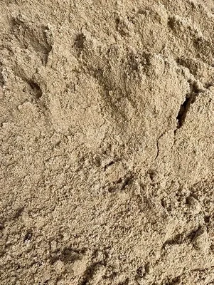 Sands