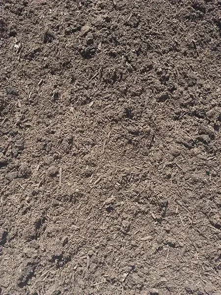 Garden Mix (Loose tip)