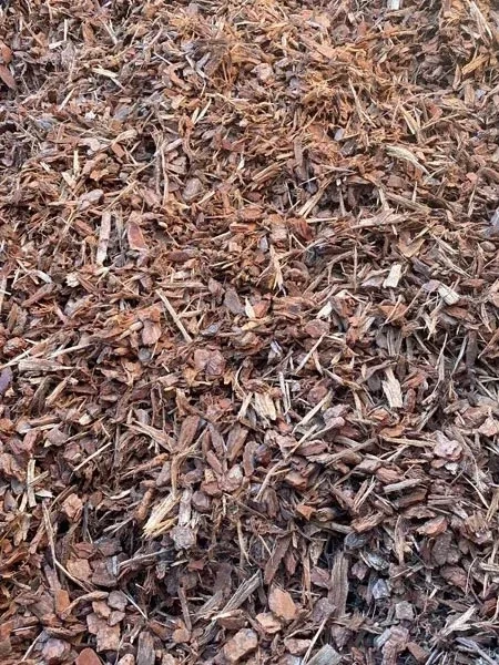 Pine Bark (14mm) (Loose tip)