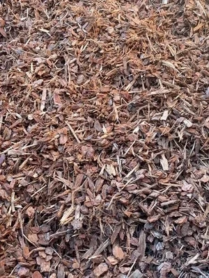 Pine Bark (14mm) (Loose tip)