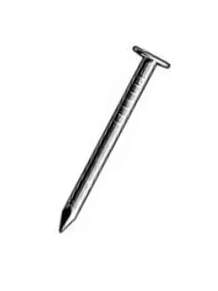 Galvanised Clout Nails (30 x 2.8mm)