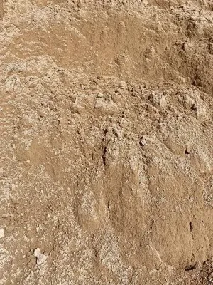 White Brick Sand (Loose tip)