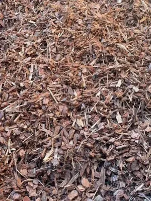 Pine Bark (14mm) (Loose tip)