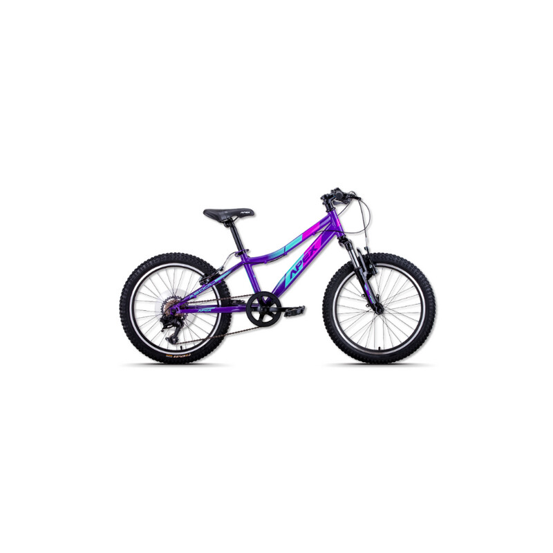 Apex 20&quot; Girls Bicycle