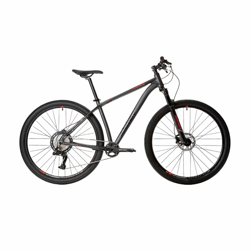 Avalanche Mountain Bike 21 Reflex Pro Blk/Red 22&quot;  XL