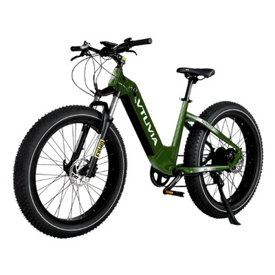 Vtuvia Reindeer Green Electric Bicycle