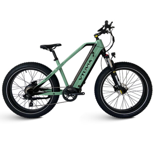 Gemini E Bike 2023 model New