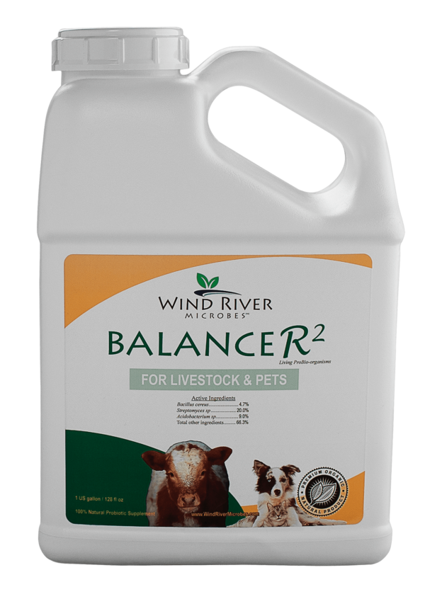 BalanceR2 for livestock &amp; pets, Size: gallon