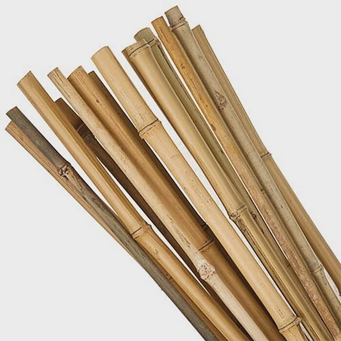Growers Edge Natural Bamboo Stakes / 6 ft (50 Bundle)