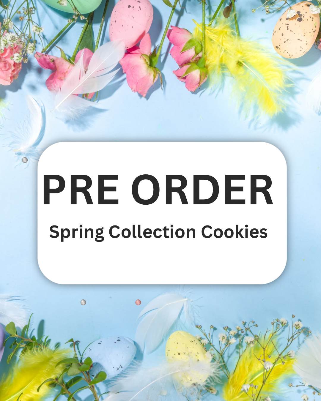 Spring Collection Cookies