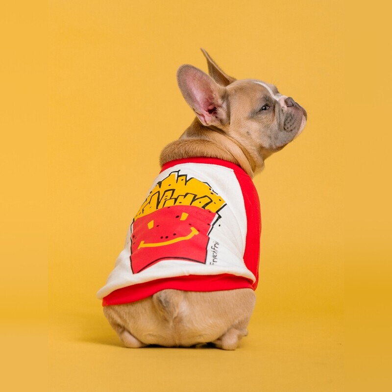 SAMPLE. French Fries Dog Suit