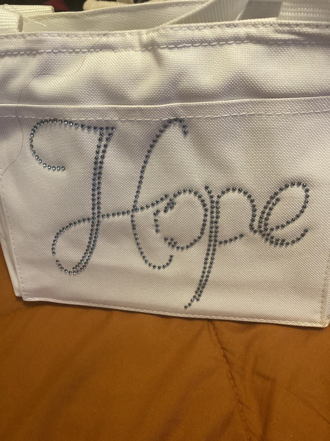 On the go lunch /Ball park insulated bag