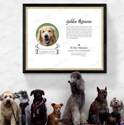 CANINE KEEPSAKES