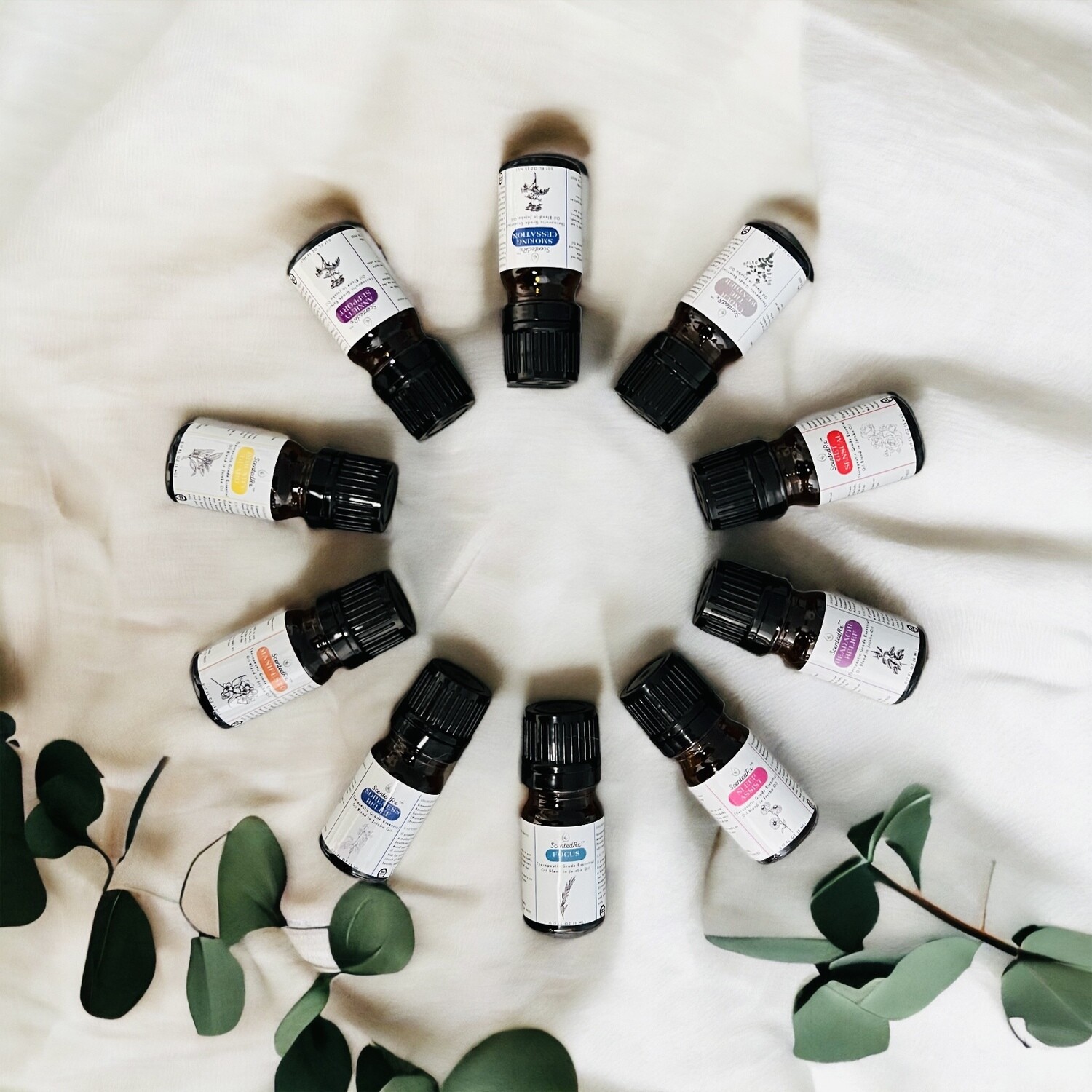 Wellness Bundle