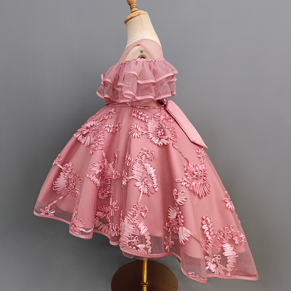 OC- 31293 ( Dusty pink dress)