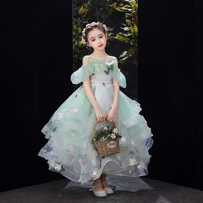 EVELYN'S DRESS