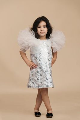 Abigail&#39;s Dress