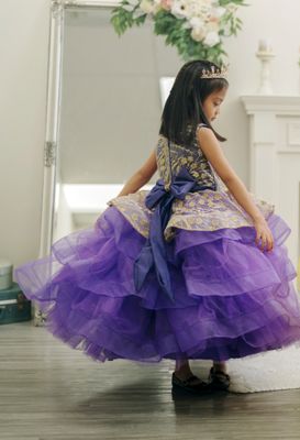 Tiana's dress  (Purple and Gold)