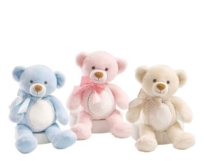 Baby's teddy