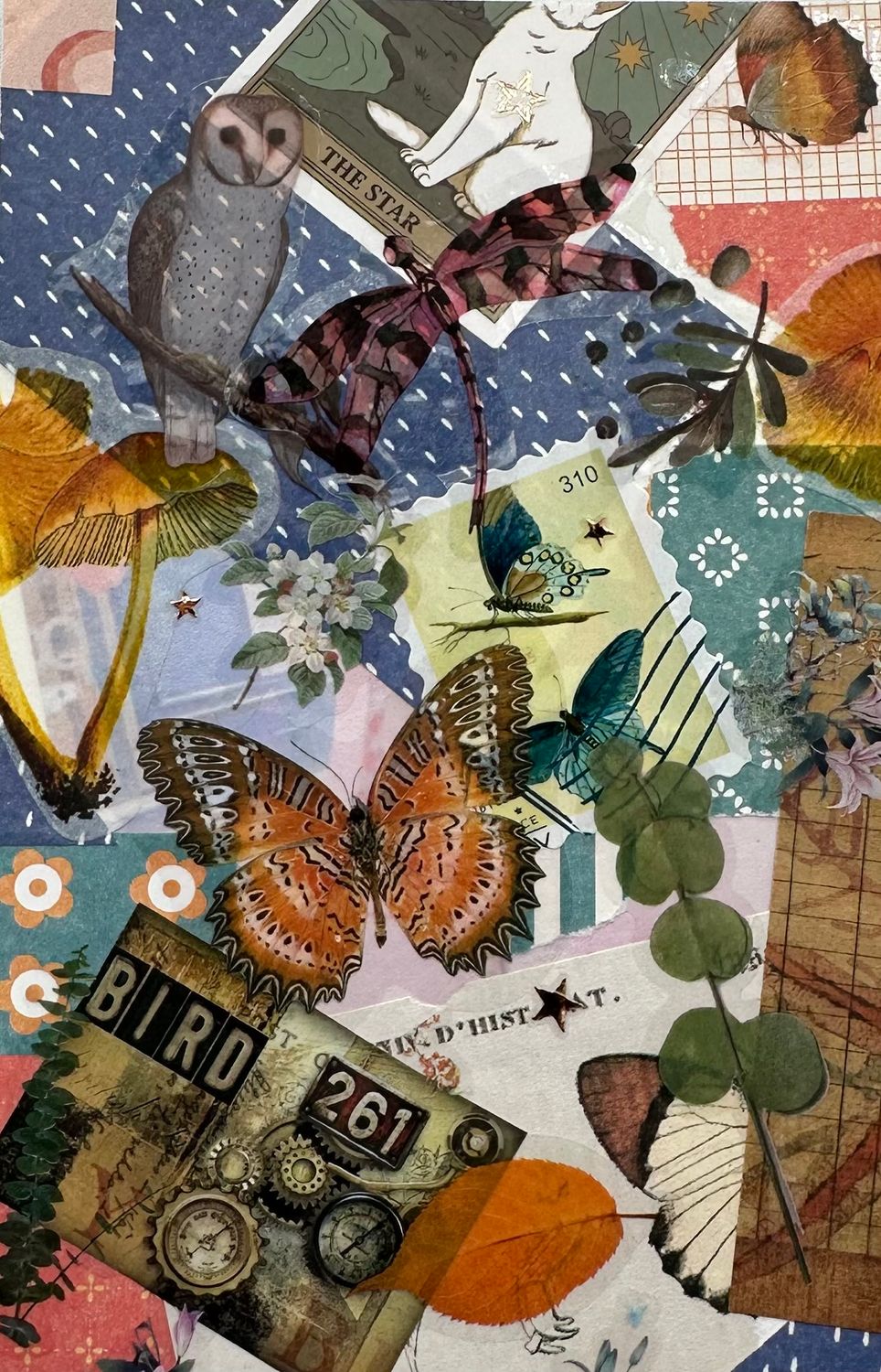 Bird 261 - Still Life - Postcard