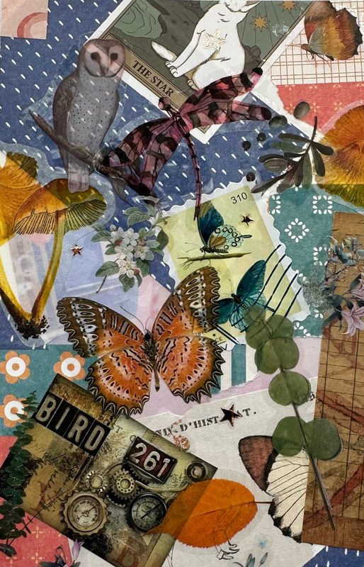 Bird 261 - Still Life - Postcard
