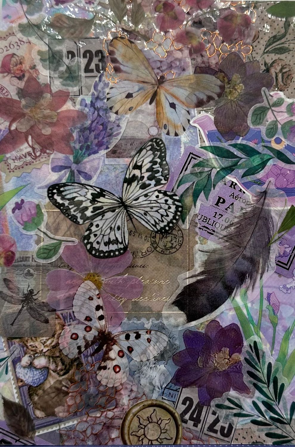 3 Butterflies &amp; Feather Still Life - Postcard
