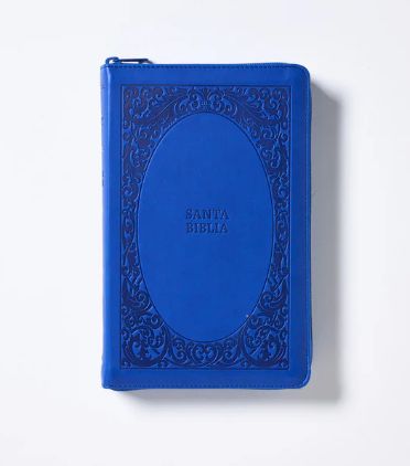 Biblia Reina-Valera 1960, Tierra Santa, Letra grande, Leathersoft