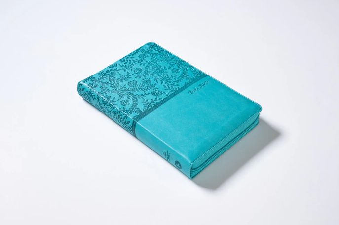 Biblia Reina-Valera 1960, Tierra Santa, Letra grande, Leathersoft