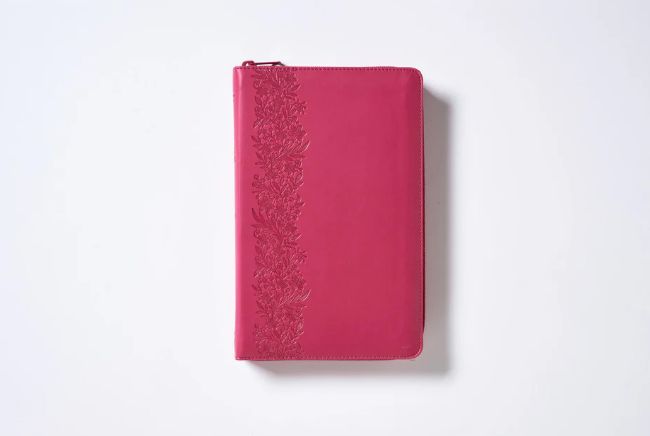 Biblia Reina-Valera 1960, Tierra Santa, Letra grande, Leathersoft