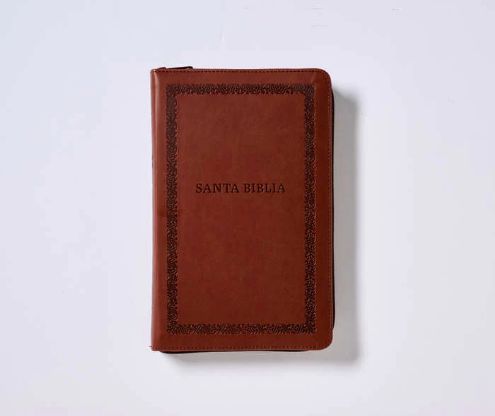 Biblia Reina-Valera 1960, Tierra Santa, Letra grande, Leathersoft