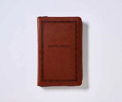 Biblia Reina-Valera 1960, Tierra Santa, Letra grande, Leathersoft